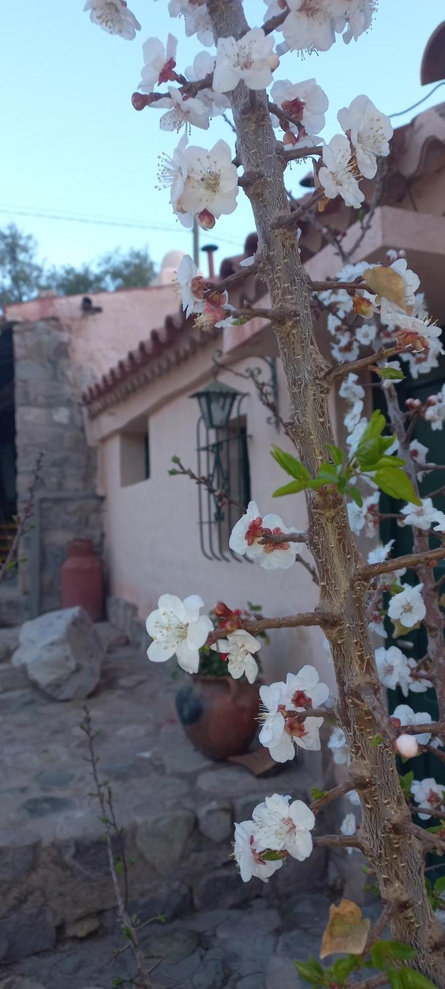 Los Arcabuceros Casa Hotel Boutique Tilcara Extérieur photo