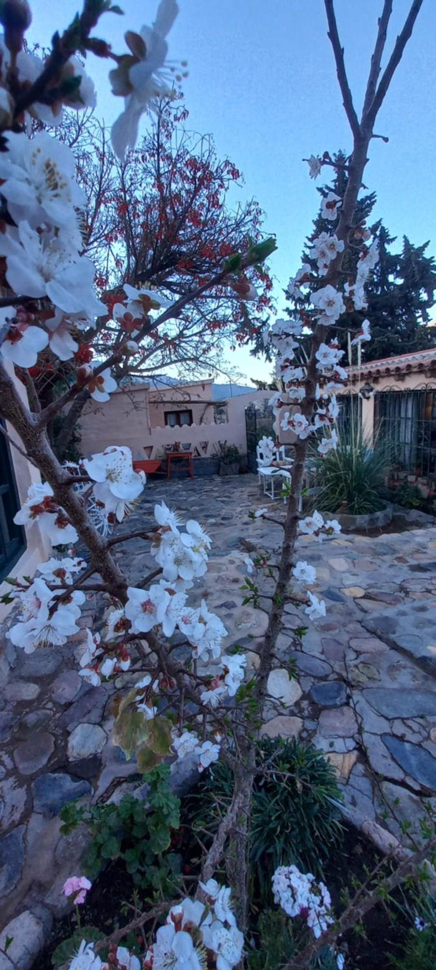 Los Arcabuceros Casa Hotel Boutique Tilcara Extérieur photo