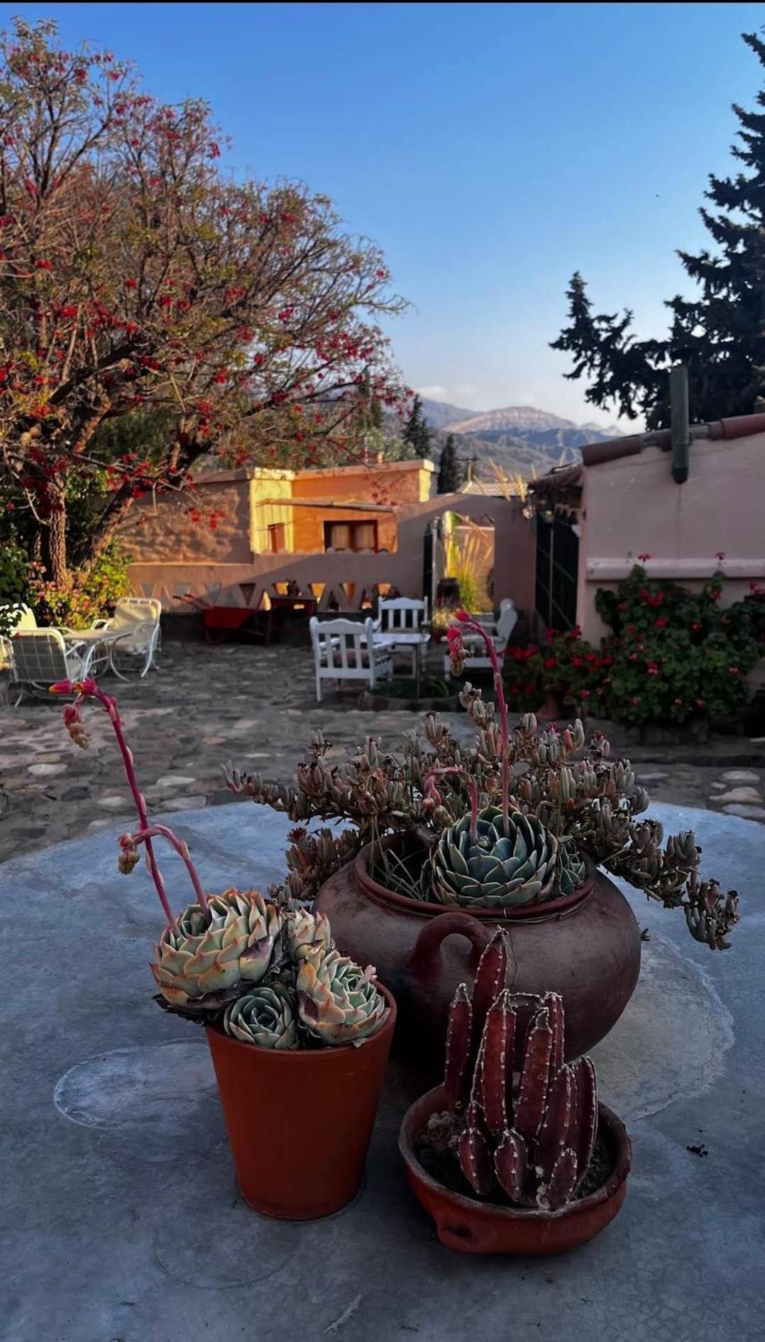 Los Arcabuceros Casa Hotel Boutique Tilcara Extérieur photo